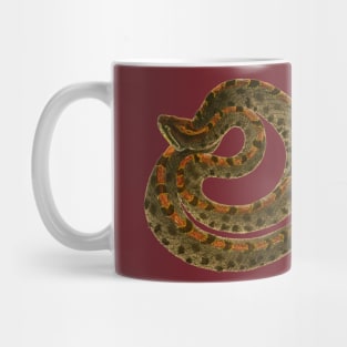 serpent,cobra,reptile,viper,venom,lizard,rattlesnake,king cobra Mug